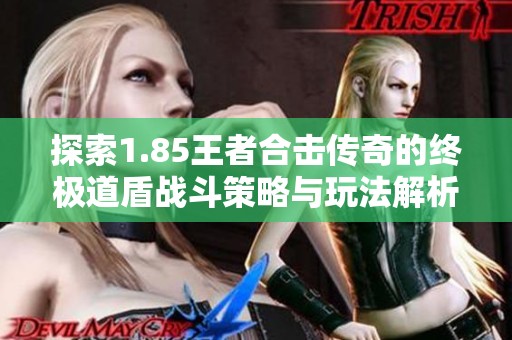 探索1.85王者合击传奇的终极道盾战斗策略与玩法解析