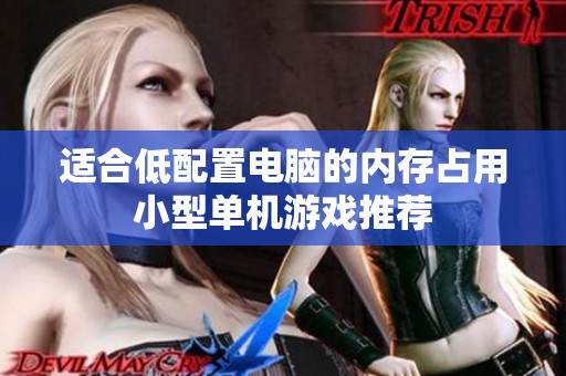 适合低配置电脑的内存占用小型单机游戏推荐