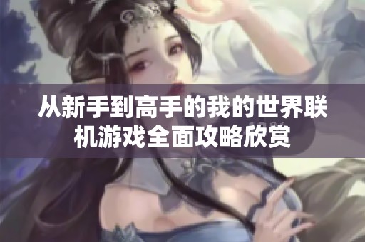 从新手到高手的我的世界联机游戏全面攻略欣赏