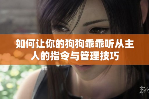 如何让你的狗狗乖乖听从主人的指令与管理技巧