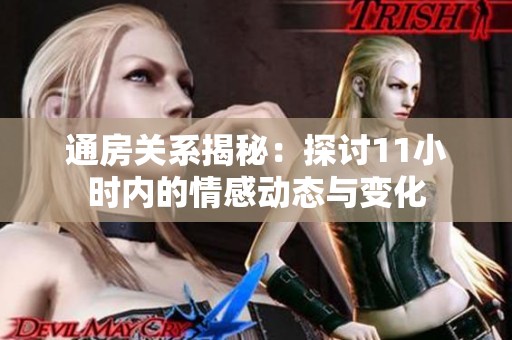通房关系揭秘：探讨11小时内的情感动态与变化