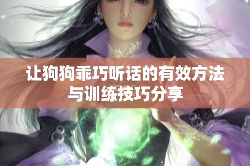 让狗狗乖巧听话的有效方法与训练技巧分享