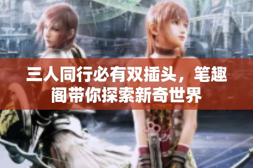 三人同行必有双插头，笔趣阁带你探索新奇世界
