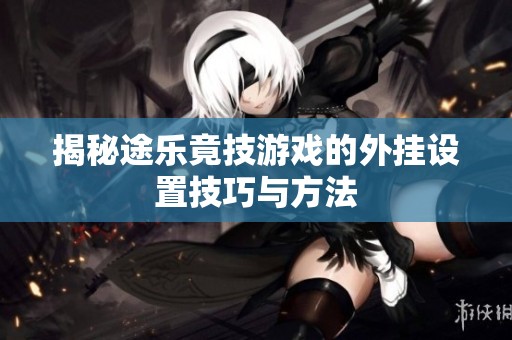 揭秘途乐竟技游戏的外挂设置技巧与方法