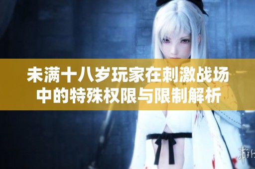 未满十八岁玩家在刺激战场中的特殊权限与限制解析