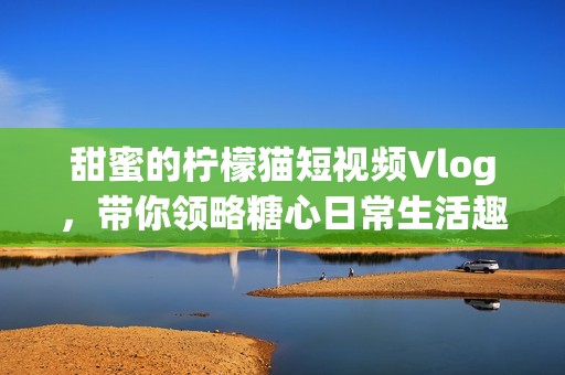 甜蜜的柠檬猫短视频Vlog，带你领略糖心日常生活趣味