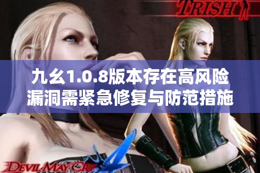 九幺1.0.8版本存在高风险漏洞需紧急修复与防范措施