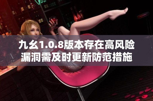 九幺1.0.8版本存在高风险漏洞需及时更新防范措施