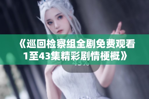 《巡回检察组全剧免费观看1至43集精彩剧情梗概》