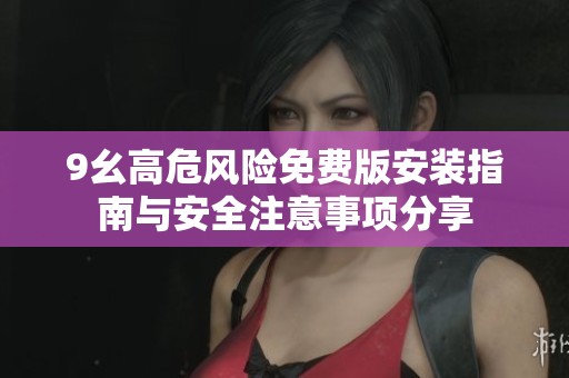 9幺高危风险免费版安装指南与安全注意事项分享