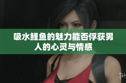 吸水鲤鱼的魅力能否俘获男人的心灵与情感