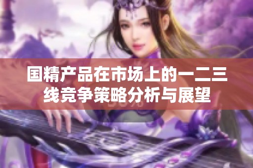 国精产品在市场上的一二三线竞争策略分析与展望