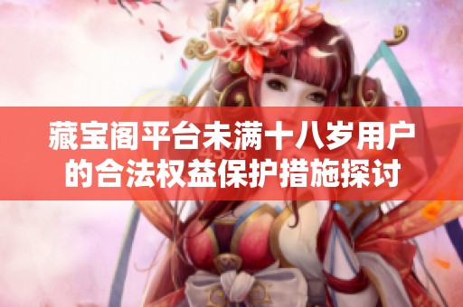 藏宝阁平台未满十八岁用户的合法权益保护措施探讨