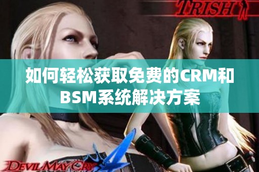 如何轻松获取免费的CRM和BSM系统解决方案