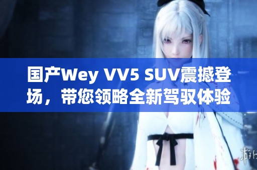 国产Wey VV5 SUV震撼登场，带您领略全新驾驭体验