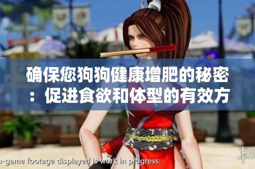 确保您狗狗健康增肥的秘密：促进食欲和体型的有效方法