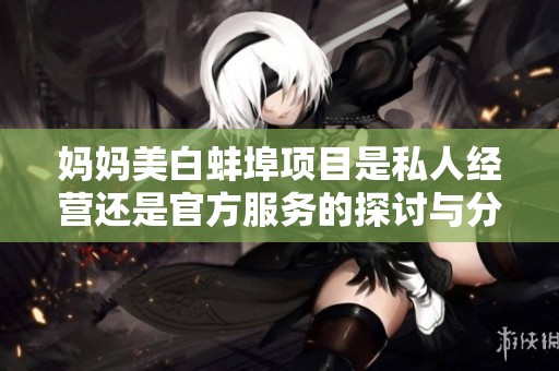 妈妈美白蚌埠项目是私人经营还是官方服务的探讨与分析